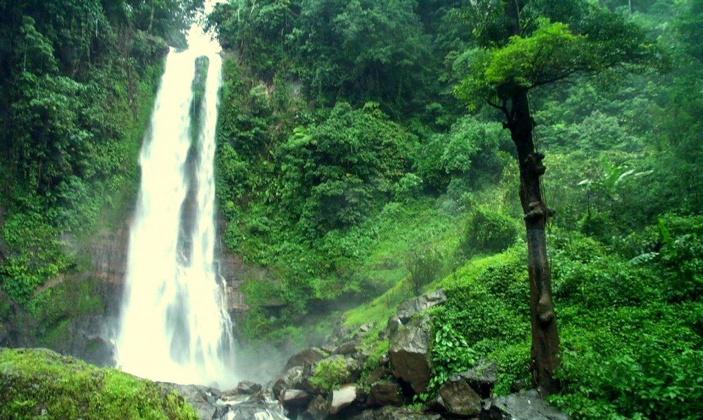 Git git waterfall in Singaraja regency - Bali - Mari Bali Tours 