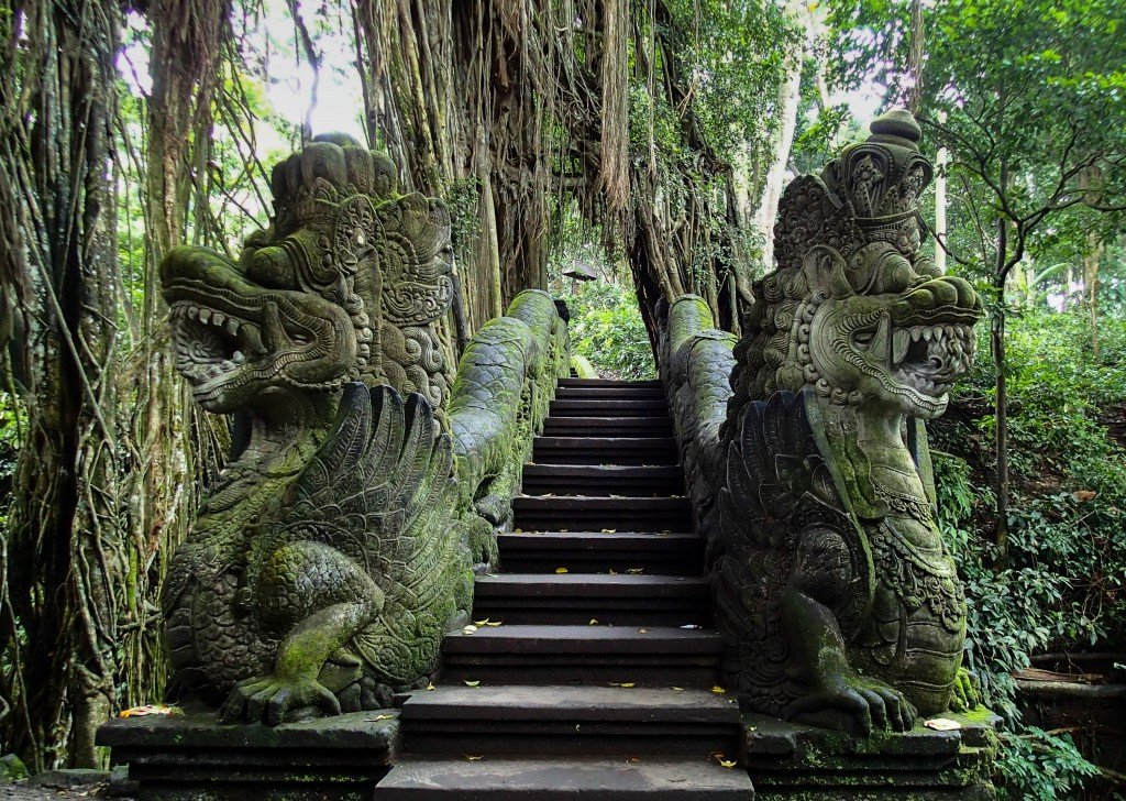 Monkey forest at Ubud, having good time with monkeys, in Ubud, Gianyar regency Bali - Indonesia - Mari Bali Tours