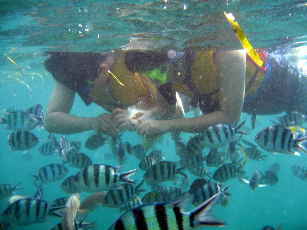 Snorkeling at the beach - Mari Bali Tours