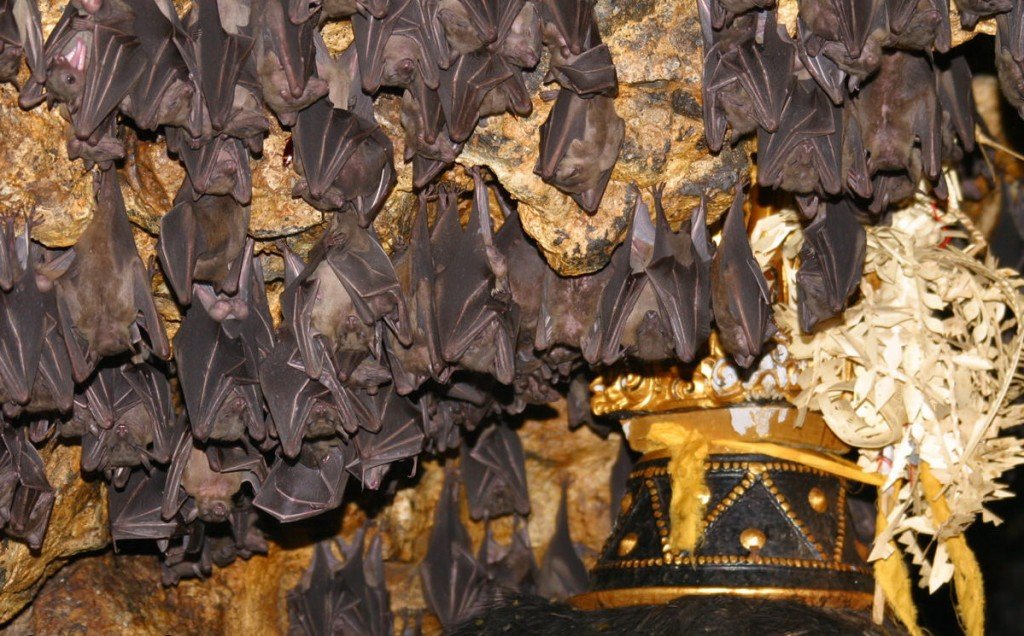 Bat Cave temple at beautiful look in Klungkung regency, Bali island - Mari Bali Tours