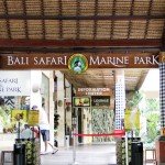 Bali Safari and Marine park in Gianyar, Bali - Mari Bali Tours (143)