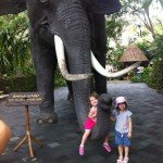 Bali Safari and Marine park in Gianyar, Bali - Mari Bali Tours (23)