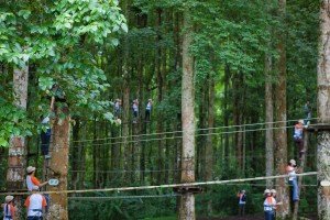 Bali Treetop activity at bedugul botanical garden - Mari Bali Tours (1)