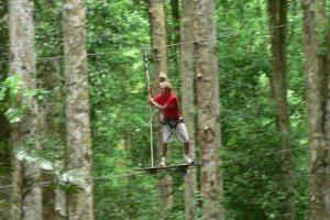 Bali Treetop activity at bedugul botanical garden - Mari Bali Tours (25)