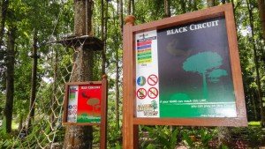 Bali Treetop activity at bedugul botanical garden - Mari Bali Tours (33)