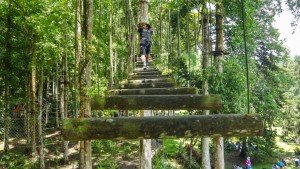 Bali Treetop activity at bedugul botanical garden - Mari Bali Tours (36)