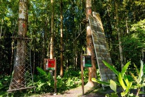 Bali Treetop activity at bedugul botanical garden - Mari Bali Tours (5)